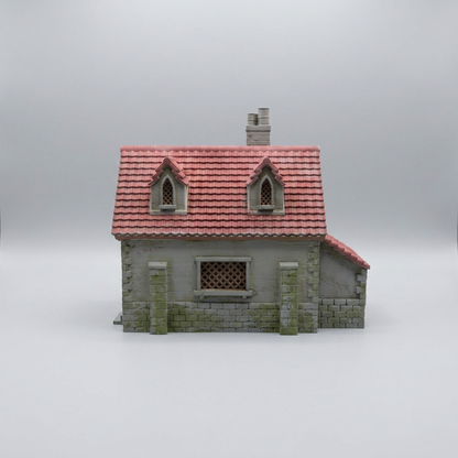 Single Storey Fantasy House with Rear Lean-to alternate angle 2