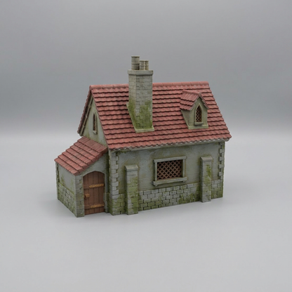 Single Storey Fantasy House with Rear Lean-to alternate angle 4